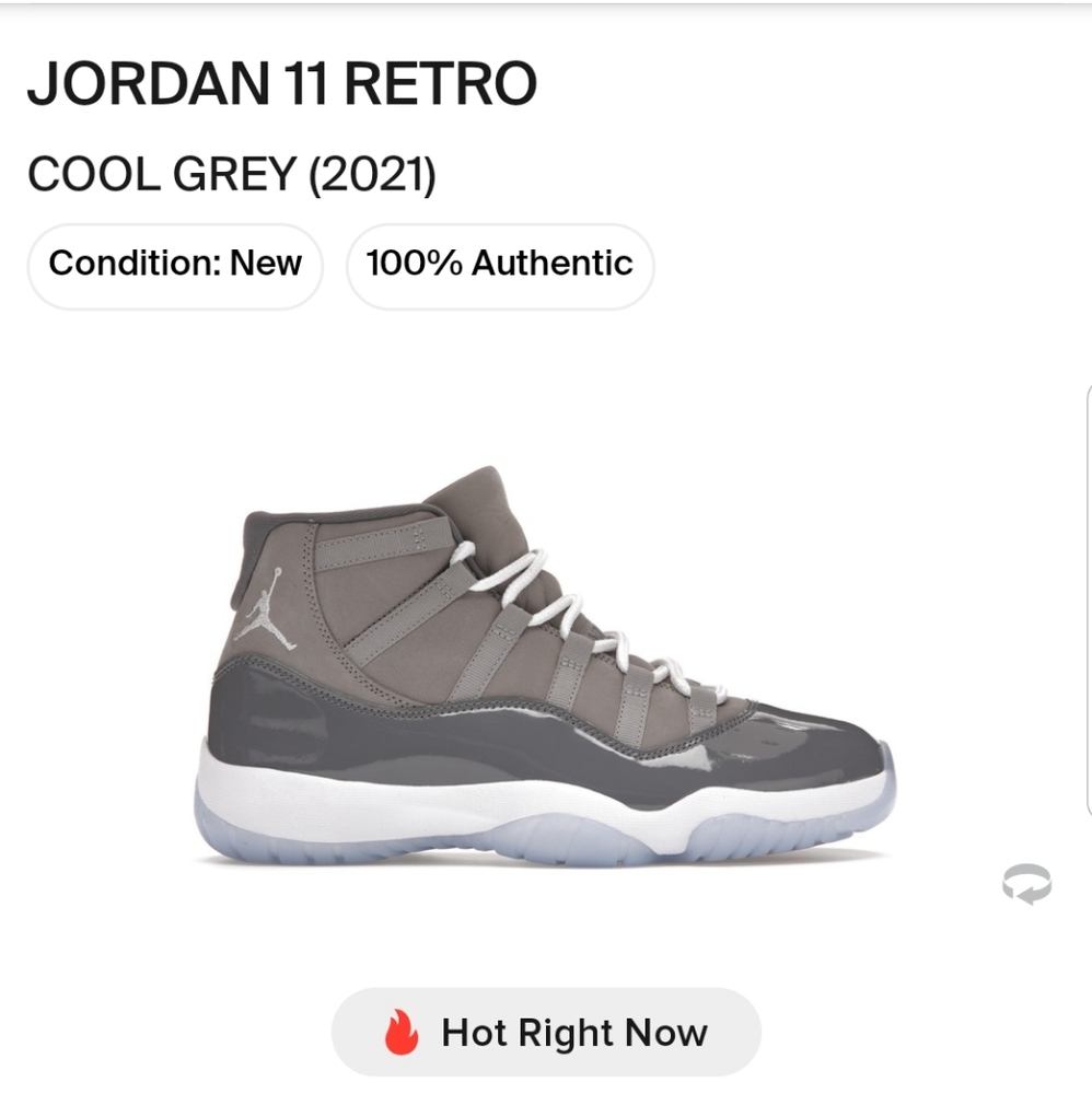 Jordan 11 Retro Cool Grey Mens 10.5